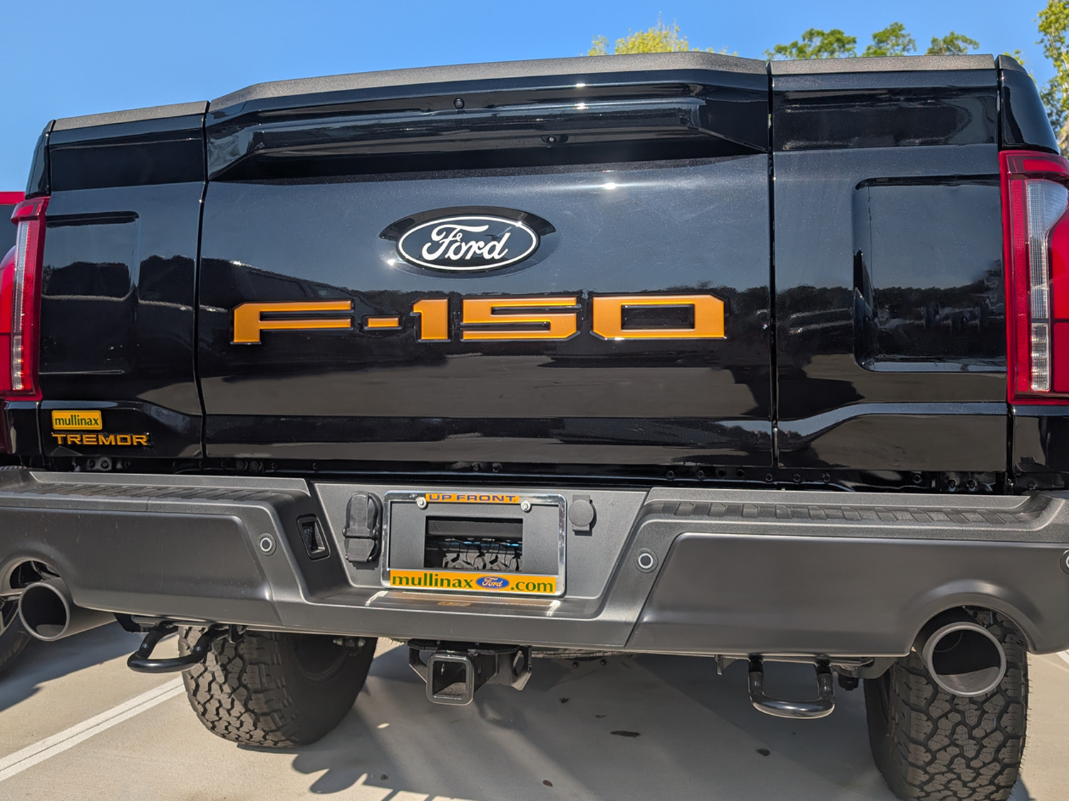 Image for F-150 2024 Tailgate Lettering - Electric Spice for Pro Access Tailgate from AccessoriesCanada