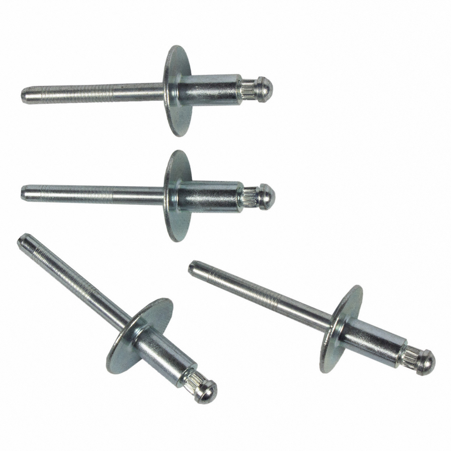 Ford Solid Rivet Rivet (Police) | Parts | Ford.com