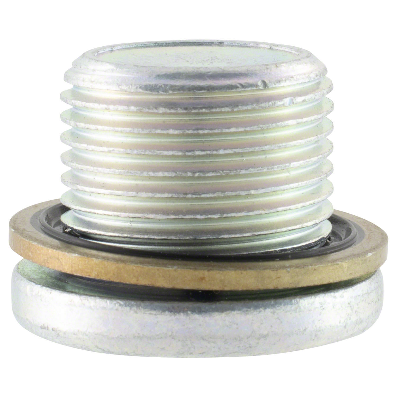 Diff Drain Plug Differential Drain Plug (RS) | Parts | Ford.com
