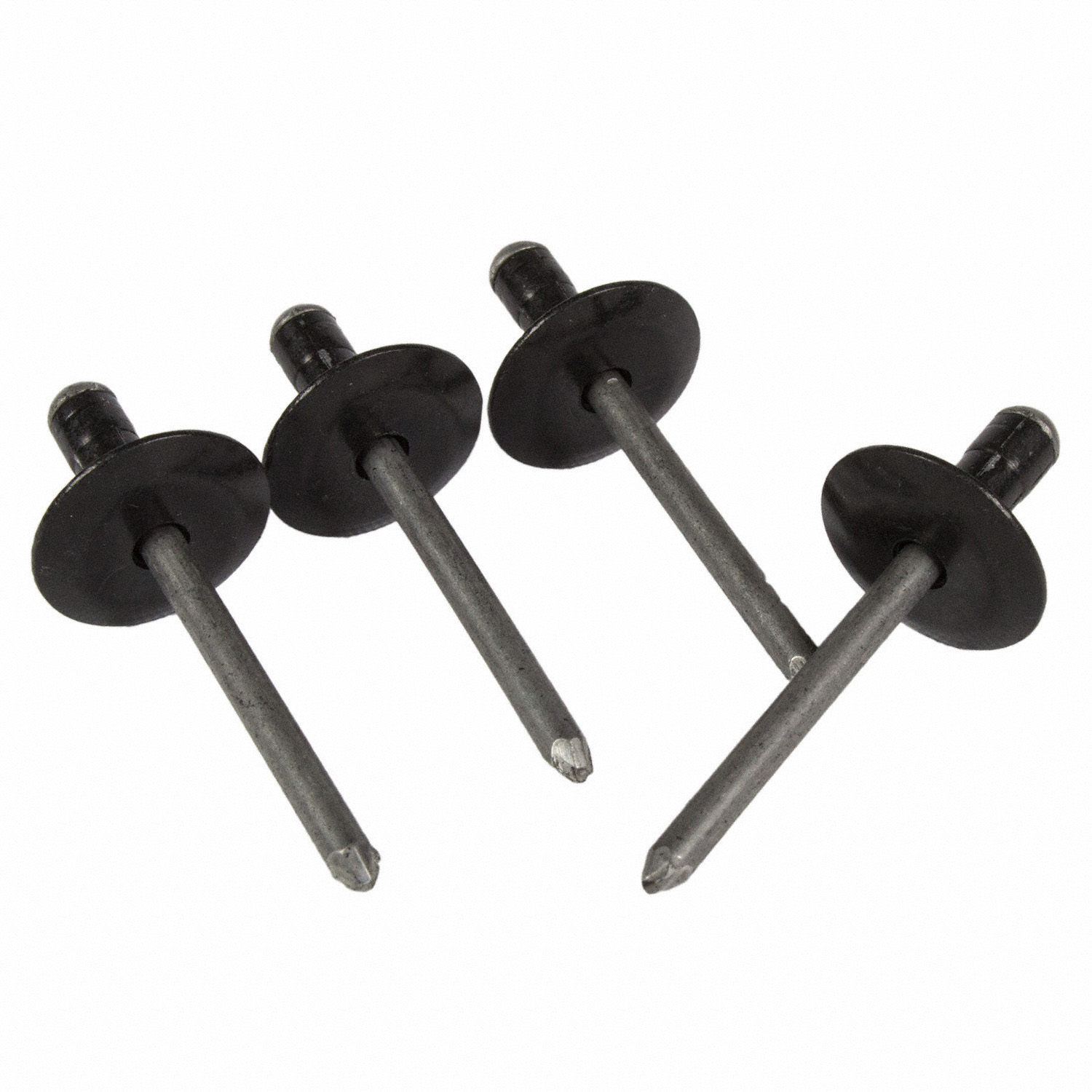 Liftgate Bumper Stop Rivet | Parts | Ford.com