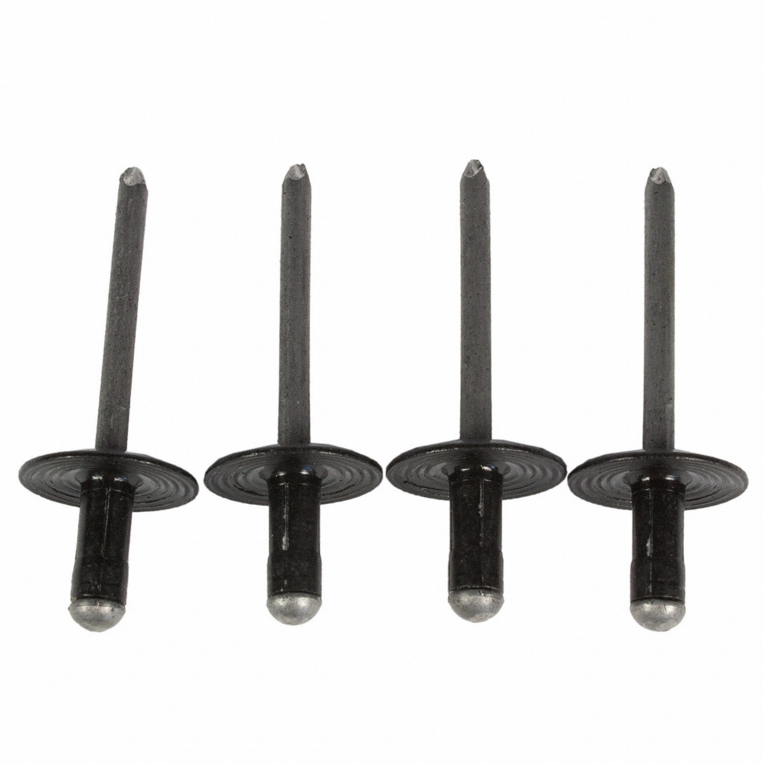 Liftgate Bumper Stop Rivet | Parts | Ford.com