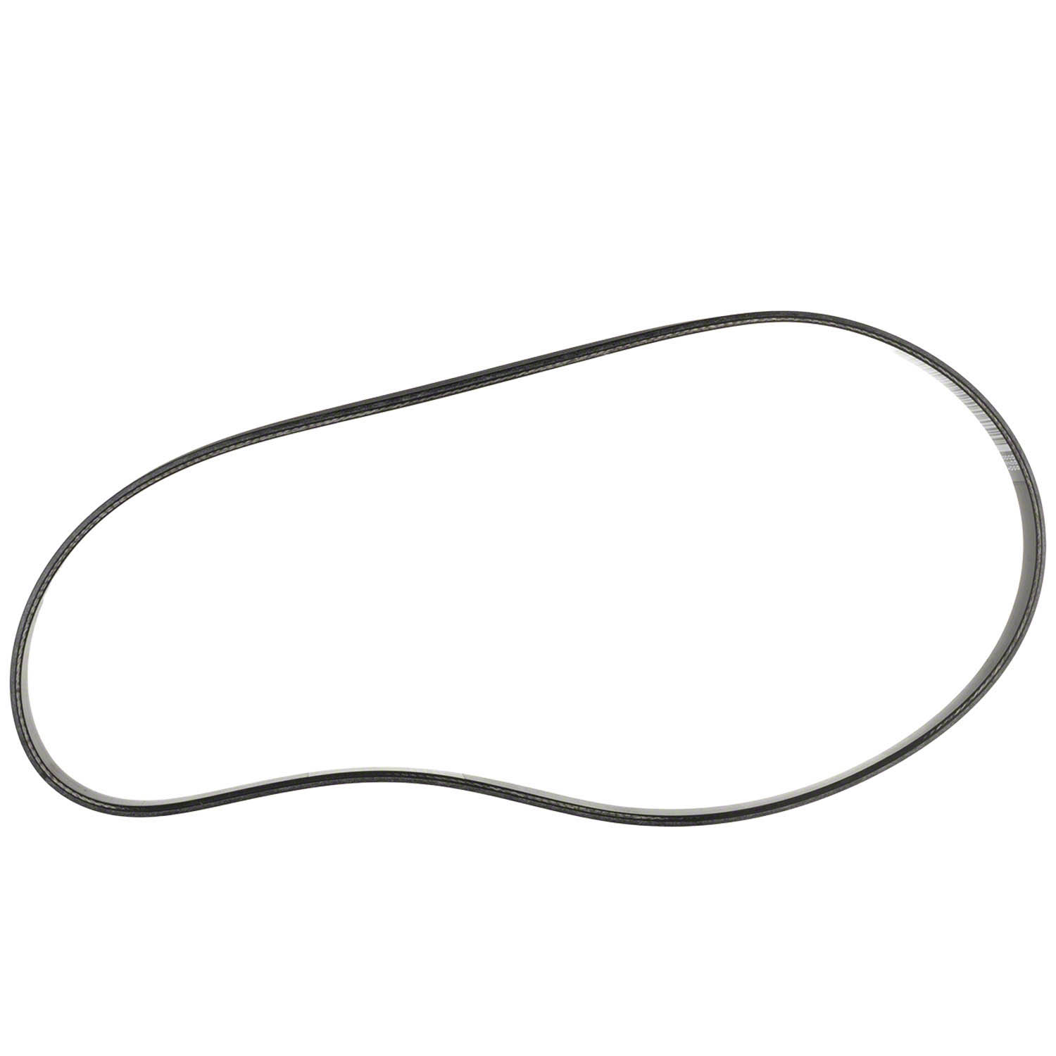 Serpentine Belt | Parts | Ford.com