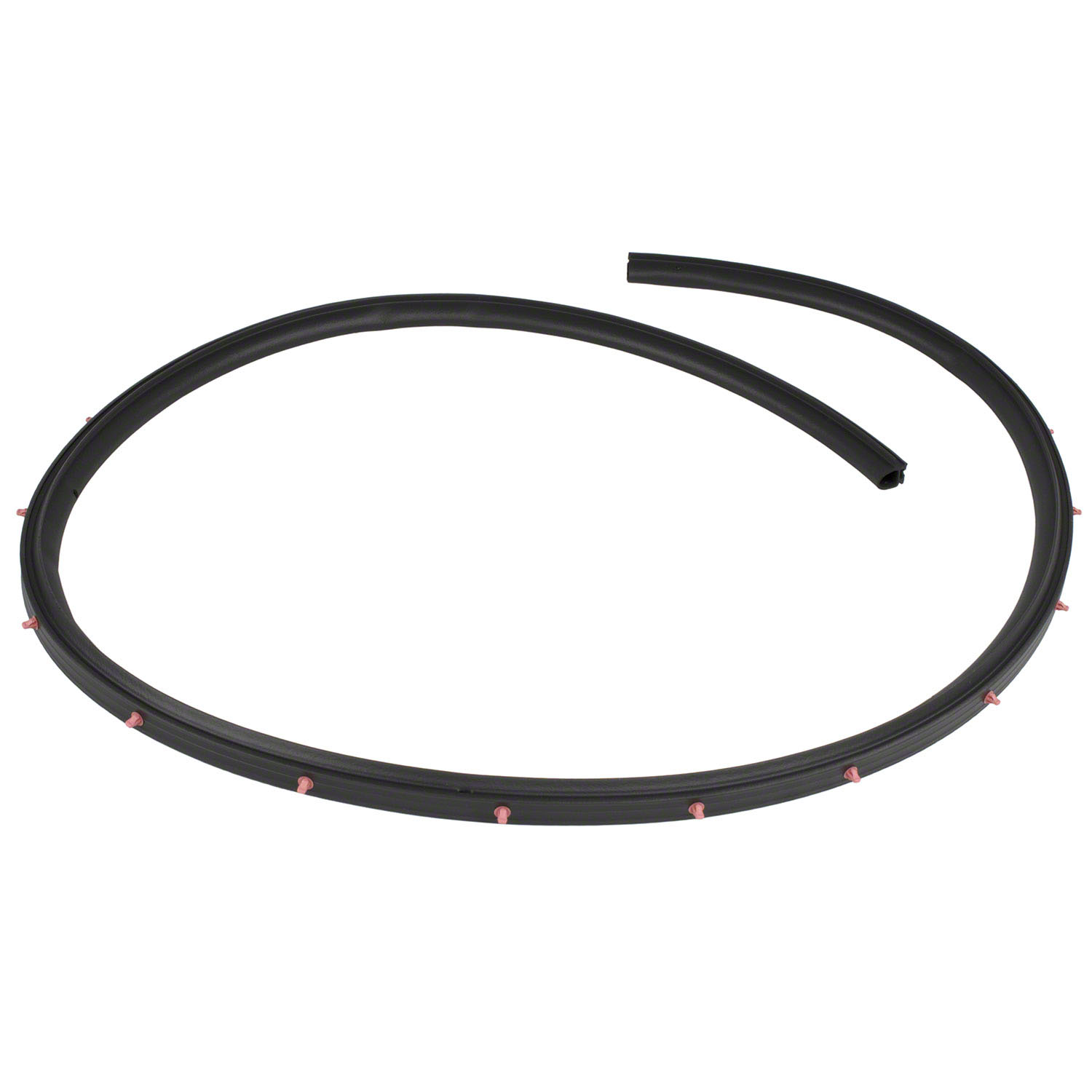 Door Seal Window Weatherstrip - Left, Front, Lower (Convertible, Coupe ...