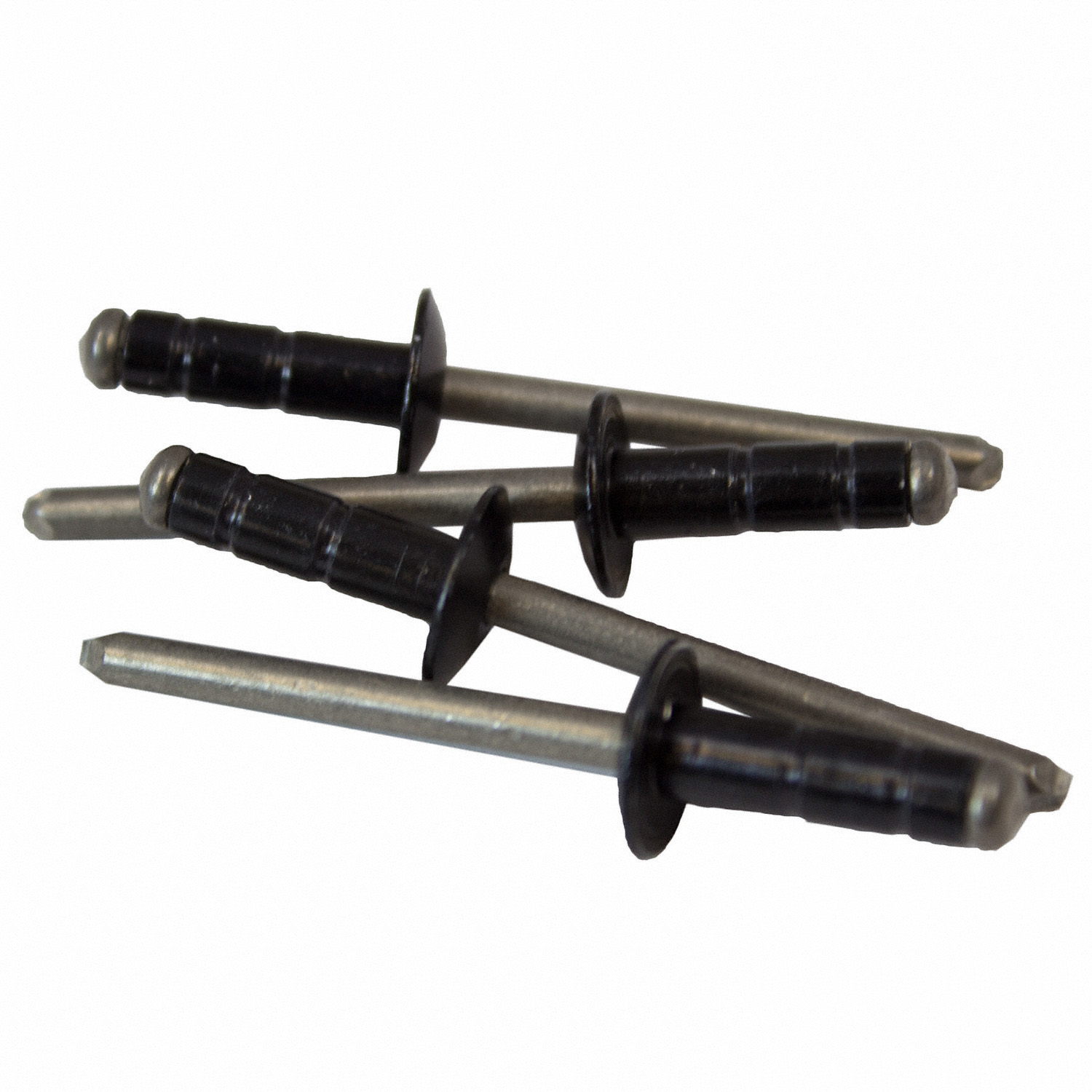 Blind Rivet Door Applique - 4.75 x 4.8 9.5mm | Parts | Ford.com