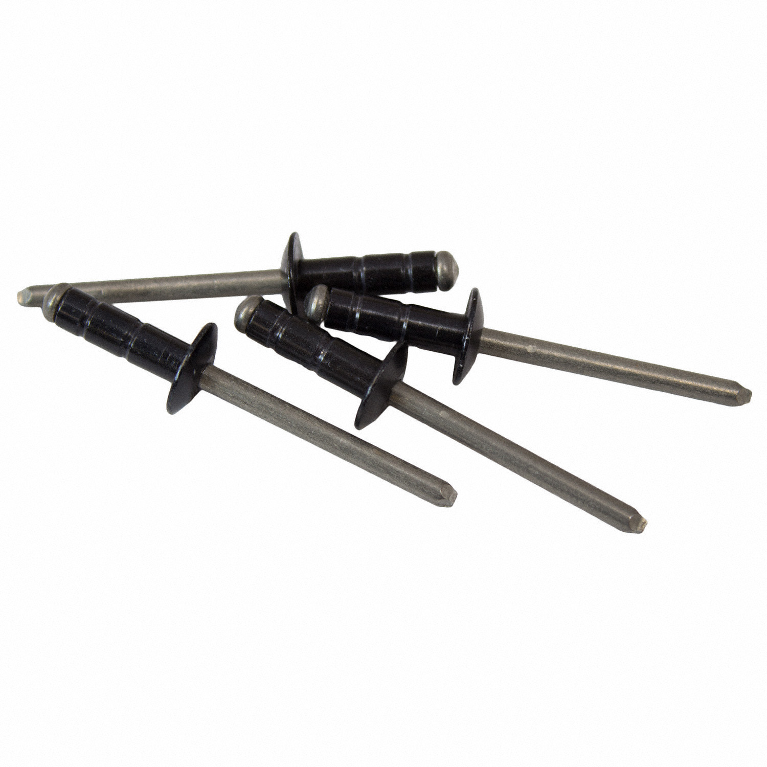 Blind Rivet Door Applique - 4.75 x 4.8 9.5mm | Parts | Ford.com