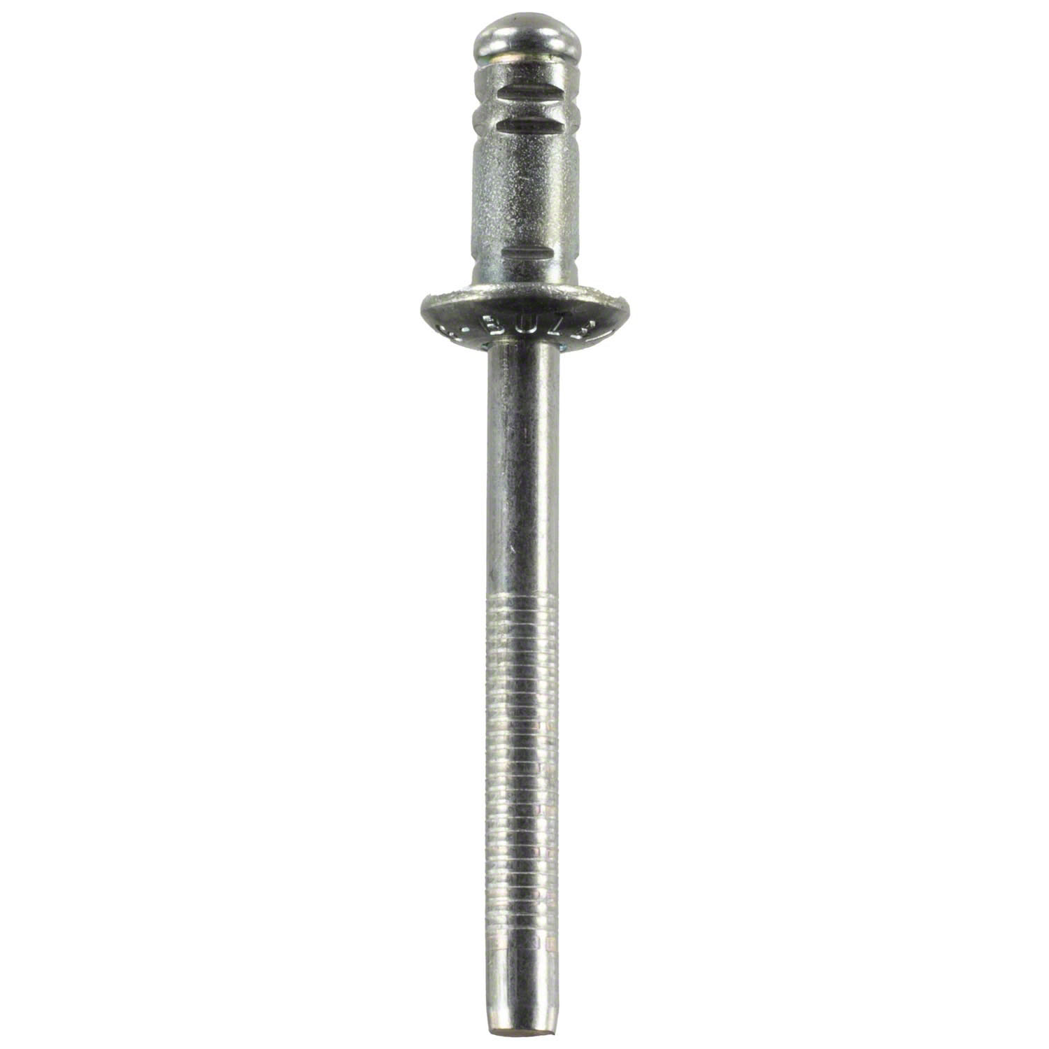 Rivet - Rear | Parts | Ford.com