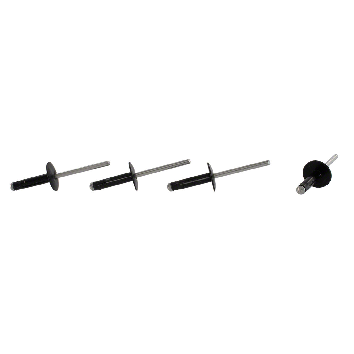 Rivet - Front, Rear 5.2L | Parts | Ford.com