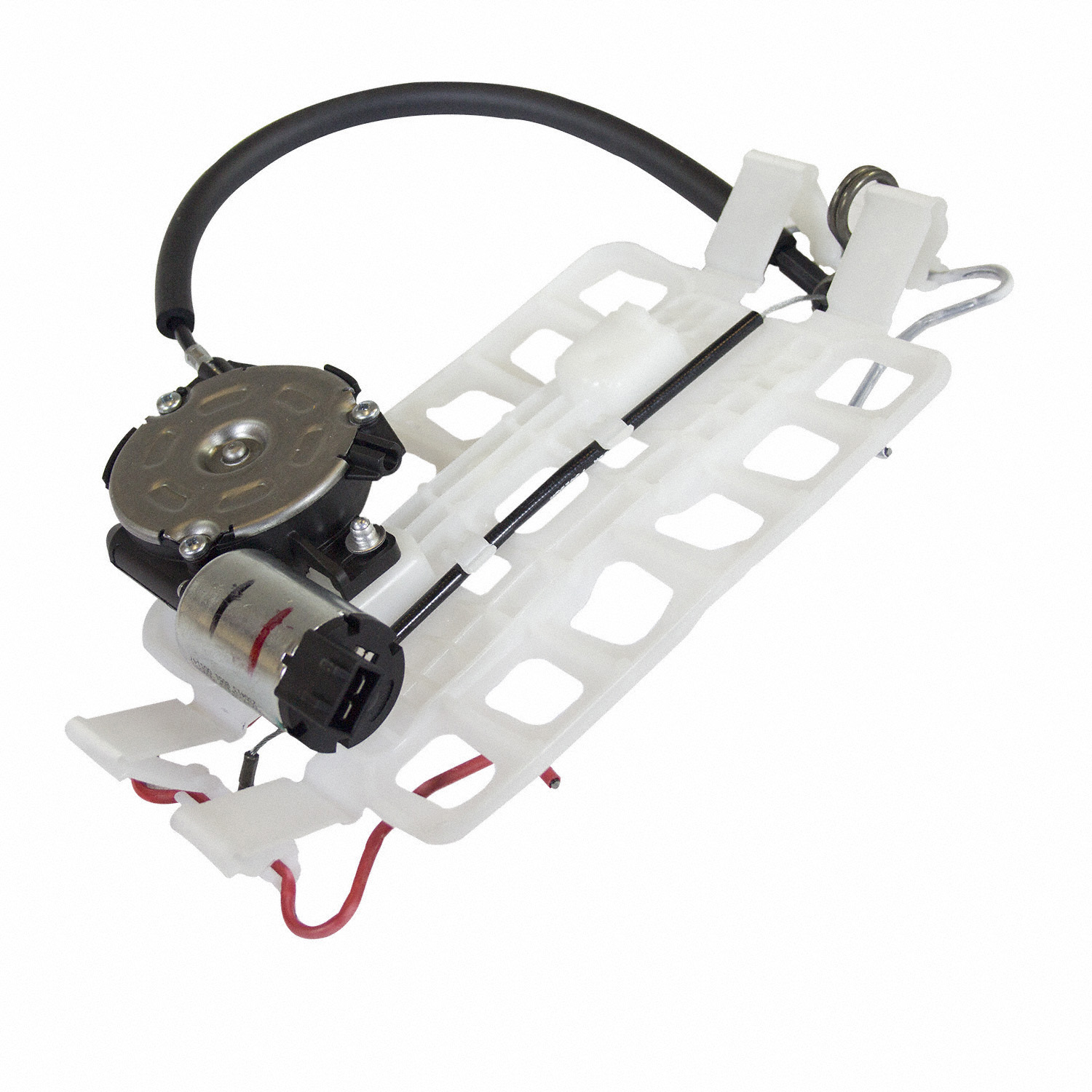 コトラ15920 40879.jpg